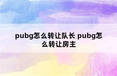 pubg怎么转让队长 pubg怎么转让房主